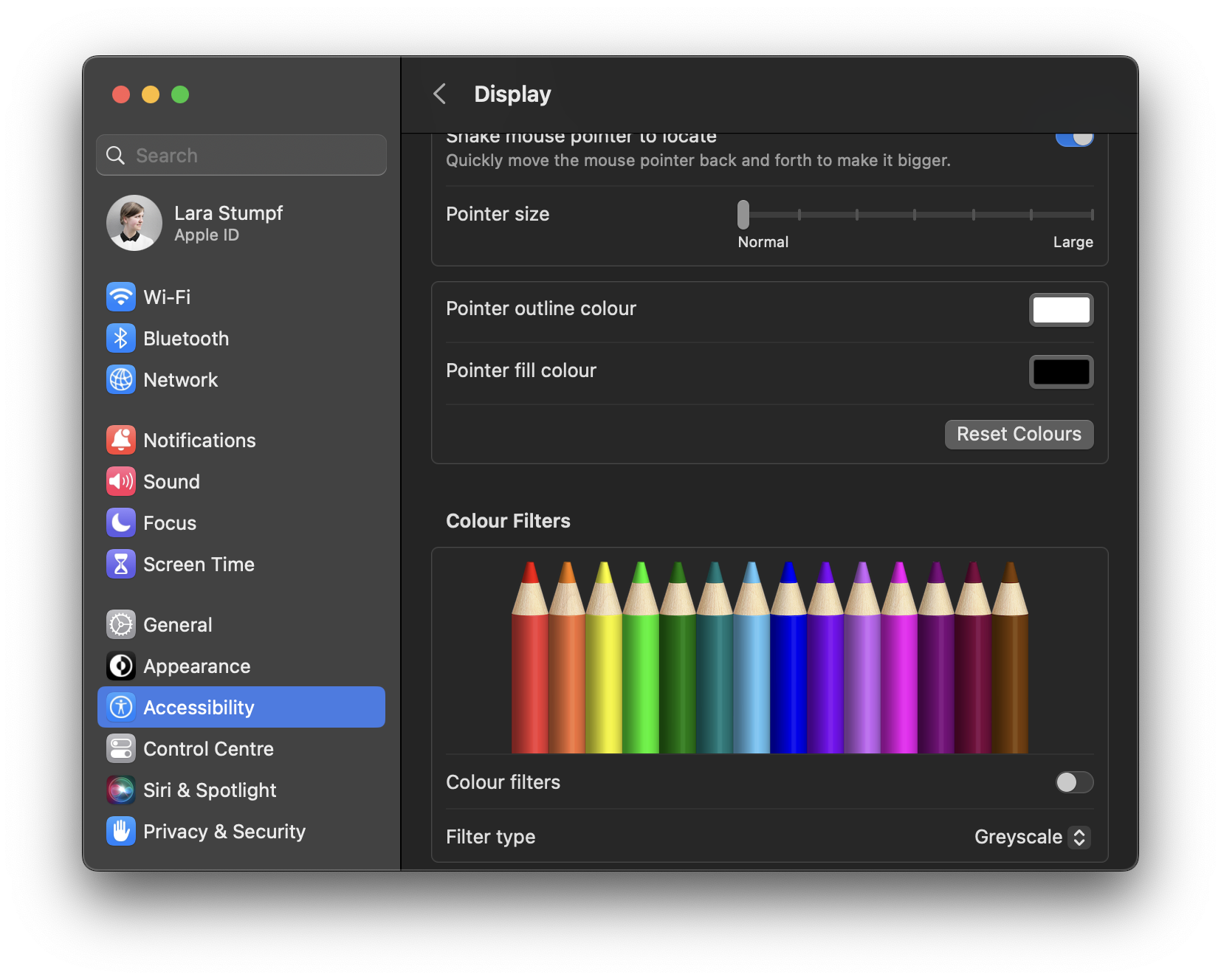 Screenshot of the accessibility settings on a Mac